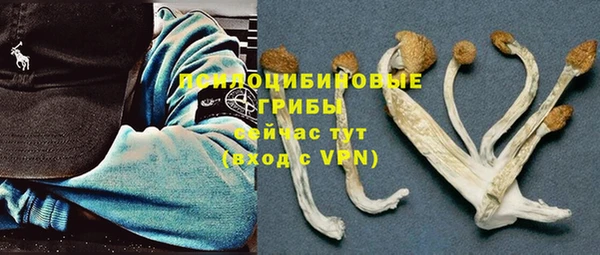 стаф Зеленокумск