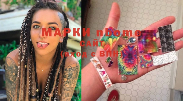 стаф Зеленокумск