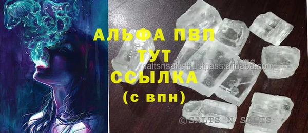 стаф Зеленокумск
